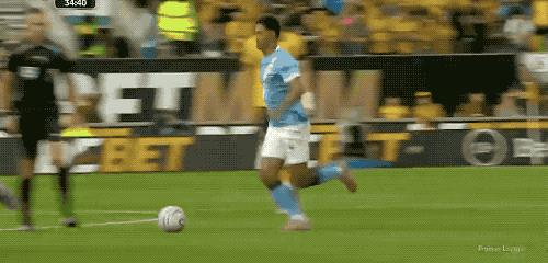 fVKwG, 贝莱加德的 fVKwG, 贝莱加德的