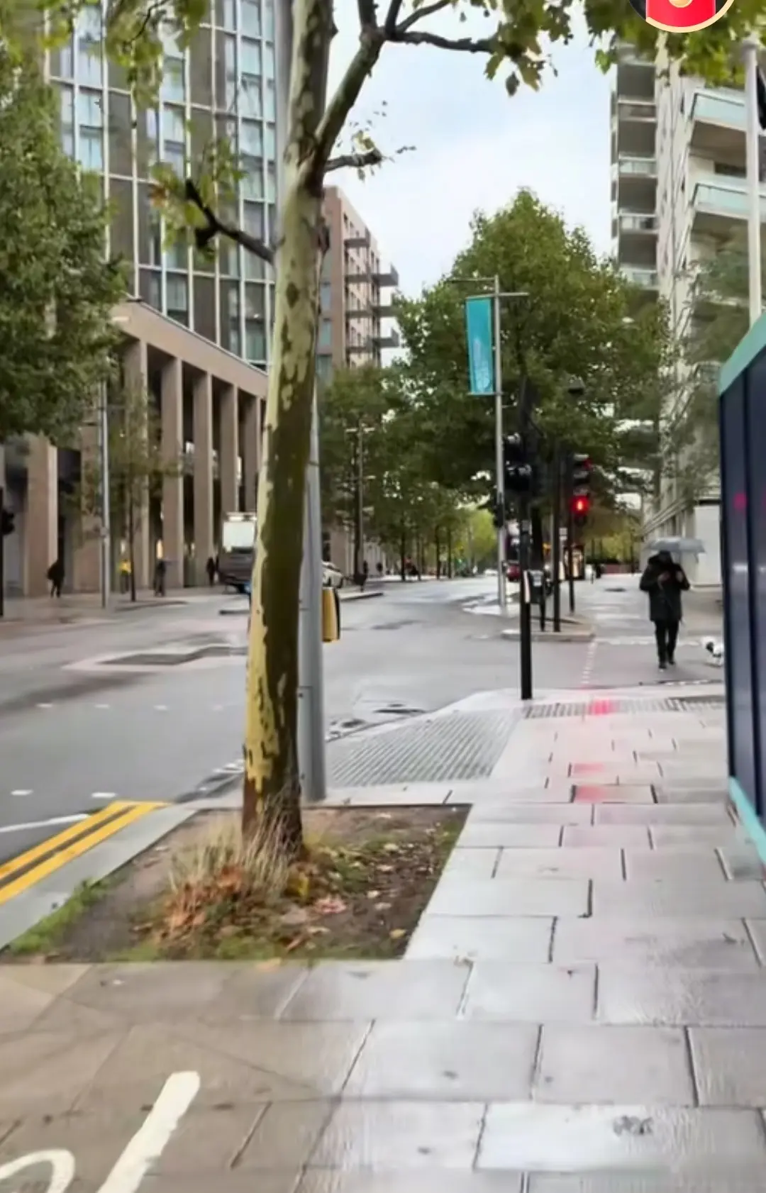 在龙队裤腰, 大家都回家, 重新回到一